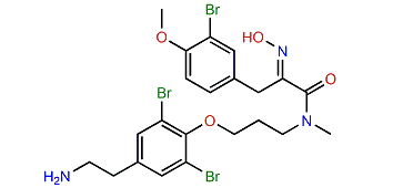 Purpuramine L